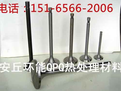 环能气门技术.jpg