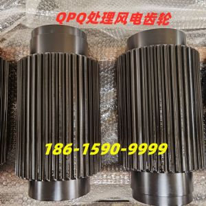QPQ齿轮发电齿轮