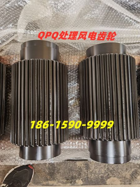 QPQ齿轮发电齿轮